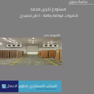 Cover image for Ebook دراسة جدوى مستودع تخزين مجمد(خضروات، فواكه) بطاقة ٤٠٠ طن تجميدي، القليوبية، مصر