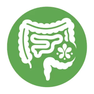 Cover image for Ebook Desparasitando