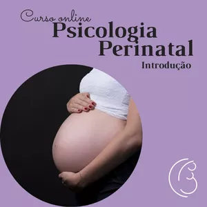 Imagem do curso Curso Online Psicologia Perinatal - Introdução