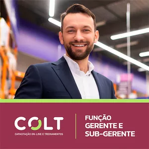 Imagem de capa para o Curso online GERENTE E SUB GERENTE