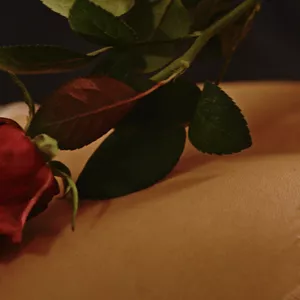 Imagem de capa para o Curso online Masterclass