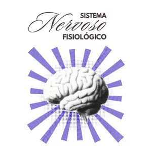 Imagem de capa para o Ebook Introdução ao Sistema Nervoso Fisiológico