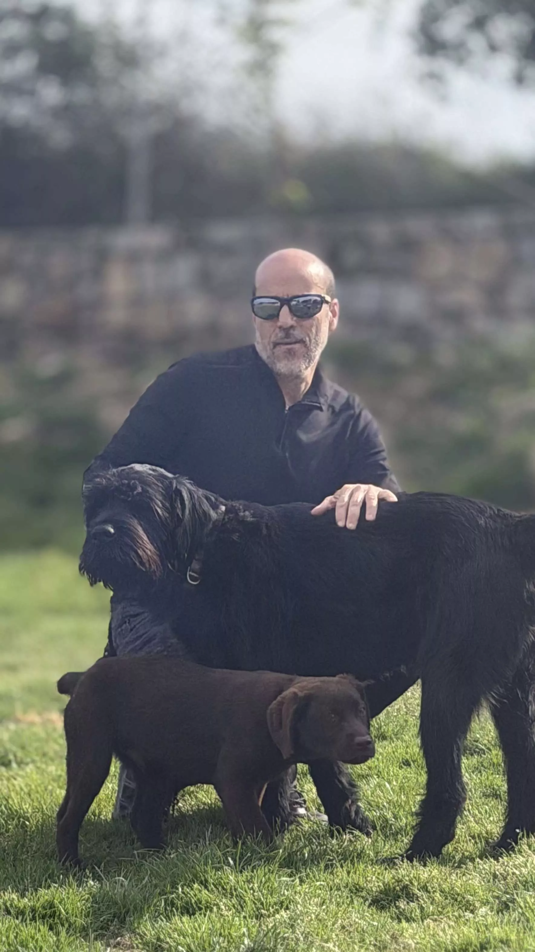 Mirada Canina