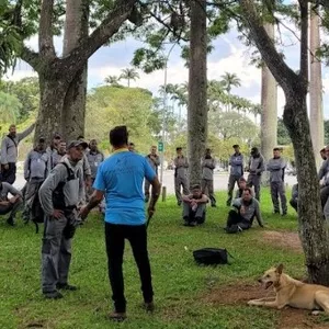 Imagem de capa para o Serviço online Consultoria online de Adestramento