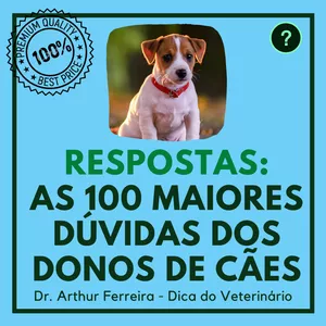 Imagem de capa para o Curso online RESPOSTAS: As 100 Maiores Dúvidas Sobre Cuidados Caninos