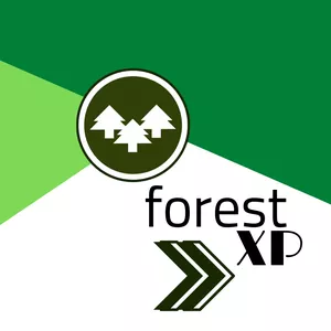 Imagem de capa para o Curso online forestXP
