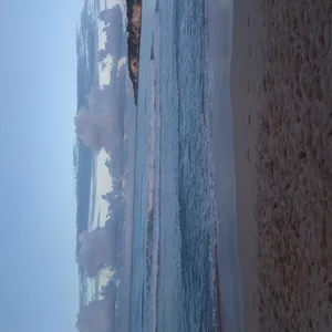 Imagen de portada para Curso online Foto de la naturaleza