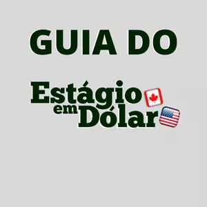 Imagem de capa para o Curso online Guia do estágio em Dolar