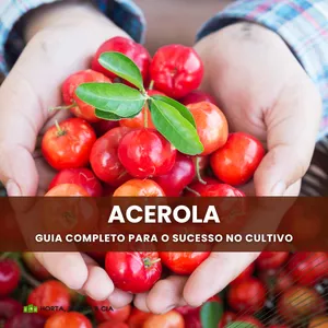 Imagem de capa para o Ebook Acerola da plantação até a colheita: um guia completo