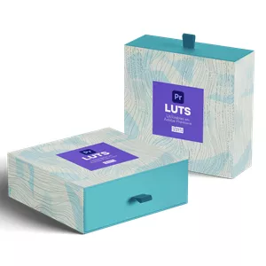 Imagen de portada para Curso online Luts Cinematográficos para Adobe Premiere