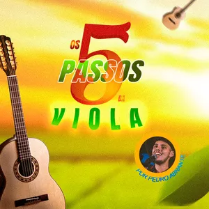 Imagem de capa para o Curso online Os 5 passos da Viola Caipira
