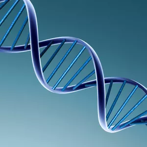 Imagen de portada para Curso online Epigenética