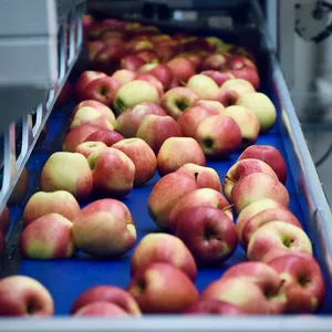 Imagem de capa para o Curso online Capacitação Técnica - Food Defense para Indústria de Alimentos