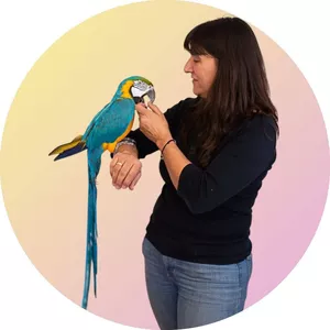 Imagen de portada para Curso online Libera Tu Loro 