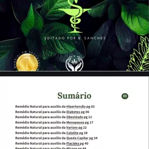 Imagem de capa para o Ebook Indígenas receitas