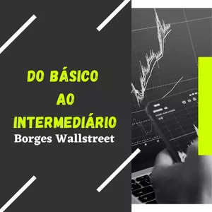 Curso Curso Borges Wallstreet - Básico ao Intermediário 
