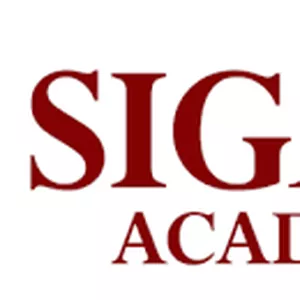 Imagen de portada para Curso online  academia sigma