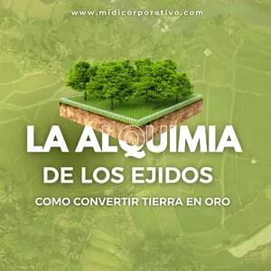 Imagen de portada para Curso online La Alquimia de los Terrenos Ejidales: Convertir Tierra en Oro 