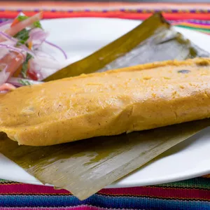 Imagen de portada para Curso online Curso de Tamales Peruanos