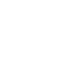 Wellness Institute