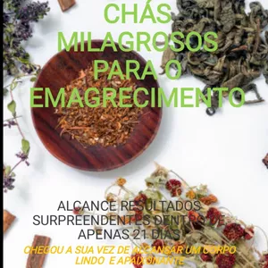 Imagem de capa para o Curso online Receitas simples para secar