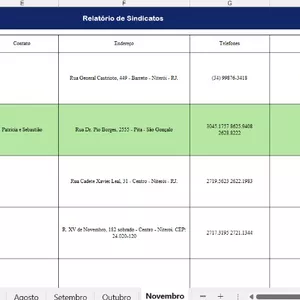 Imagem de capa para o Ebook PLANILHA - RELATÓRIO DE SINDICATOS