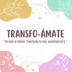 Imagen de portada para Ebook Transfo-amate 