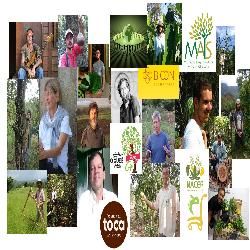 Imagem do curso 1º Congresso de Agrofloresta do Futuro