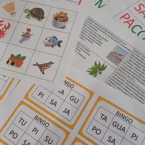 Imagem de capa para o Curso online Sequência Didática: O Tupi que você fala