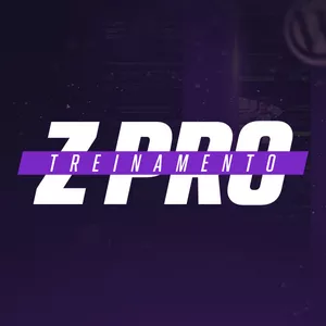 Imagem de capa para o Curso online Treinamento ZPRO