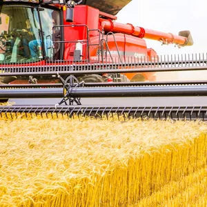 Imagen de portada para Curso online Aprende fácil 