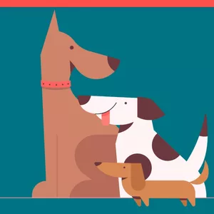 Imagem de capa para o Curso online CURSO BANHO E TOSA PET 