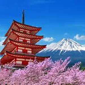 Imagem de capa para o Ebook ROTEIRO COMPLETO de 14 dias no JAPÃO!