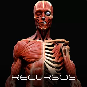 Imagen de portada para Curso online Curso #100 - Recursos