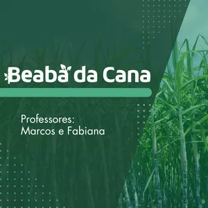 Imagem de capa para o Curso online Beabá da Cana