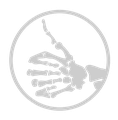 PA Excel ONLINE logo