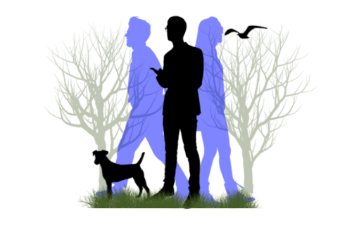 Imagem do curso Pincéis Arquitetura para Photoshop