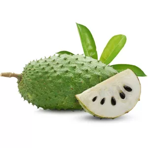 Imagem de capa para o Ebook Cultivo de Graviola