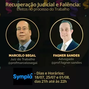 Imagem de capa para o Curso online Efeitos da Recuperação Judicial e da Falência no Processo do Trabalho