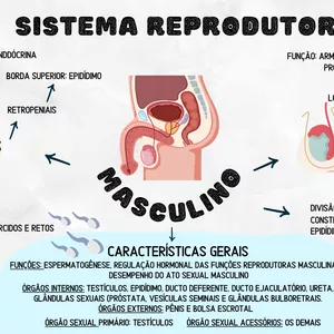 Imagem de capa para o Ebook Mapa Mental Resumo Sistema Reprodutor Masculino