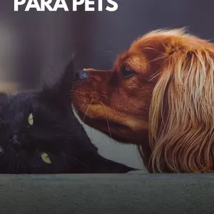 Imagem de capa para o Ebook Livro Digital - Descubra o fascinante mundo da Aromaterapia Para Pets