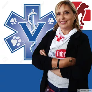 Imagem de capa para o Curso online SOCORRISTA ANIMAL - SOBREVIVENCIA E RESPOSTA AOS DESASTRES