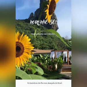 Imagem de capa para o Ebook Noronhe-se! Trabalhando no Paraíso.