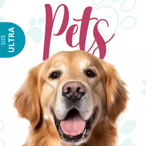 Cover image for Ebook Bright N Shine Pet Dental Cleaning