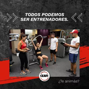 Imagen de portada para Curso online ENTRENAMIENTO