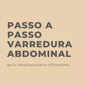 Passo A Passo da Varredura Abdominal por Zelinda Arêas