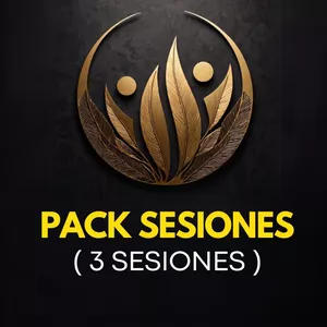 Imagen de portada para Ebook Pack de 3 sesiones de Thetahealing