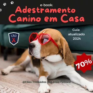 Imagem do curso Adestramento Canino em Casa