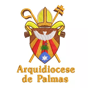 Imagem de capa para o Ebook Matriz de bordado Arquidiocese de Palmas