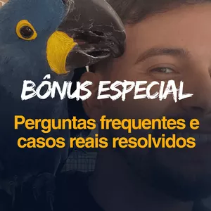 Imagem de capa para o Curso online Dúvidas Frequentes Respondidas